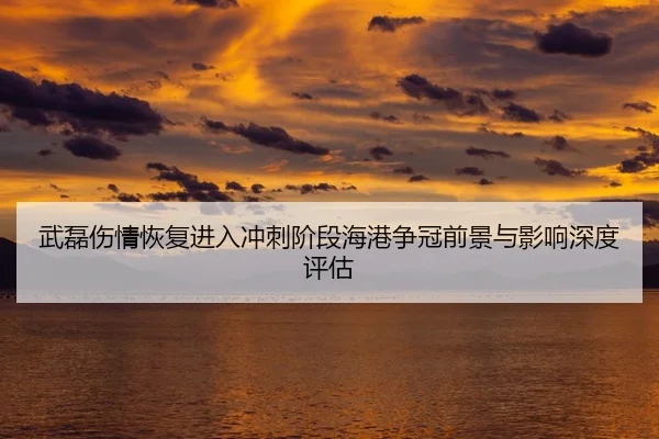 武磊伤情恢复进入冲刺阶段海港争冠前景与影响深度评估